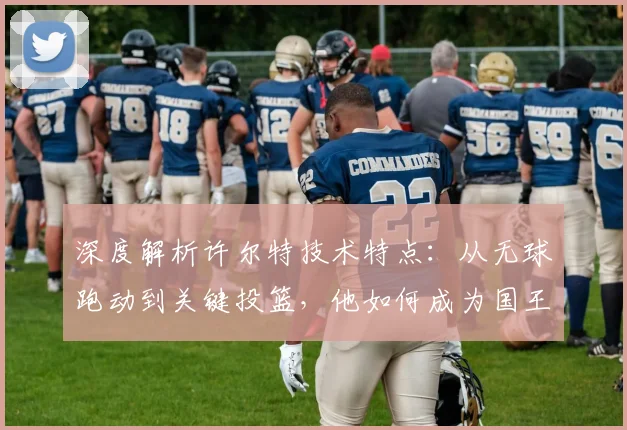 深度解析许尔特技术特点：从无球跑动到关键投篮，他如何成为国王队X因素？