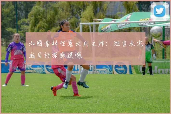 加图索辞任意大利主帅:坦言未完成目标深感遗憾